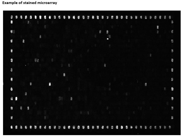 Microarray using Goat Anti-Human IgG